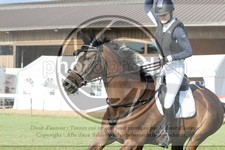 ref. photo 3721154