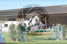 ref. photo 3721164