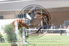 ref. photo 3721207