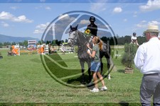 ref. photo 3721382