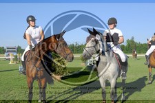 ref. photo 3721414