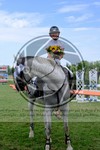 ref. photo 3721512
