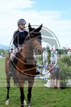 ref. photo 3721513