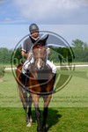 ref. photo 3721530