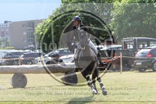 ref. photo 3704544