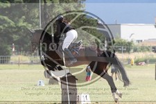 ref. photo 3704549