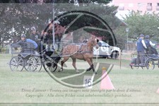 ref. photo 3704617