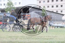ref. photo 3704622