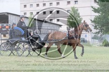ref. photo 3704629