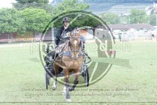 ref. photo 3704636