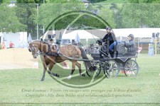 ref. photo 3704641