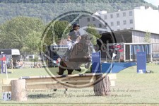 ref. photo 3704674