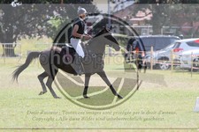 ref. photo 3704702