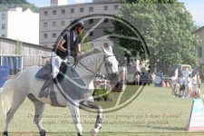 ref. photo 3704790