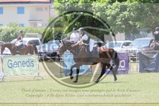 ref. photo 3704856
