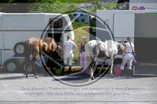 ref. photo 3704876