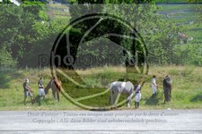 ref. photo 3704877