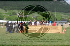 ref. photo 3704886