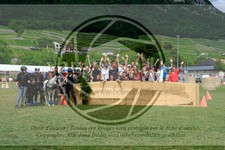 ref. photo 3704888