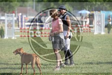 ref. photo 3704904