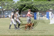 ref. photo 3704908