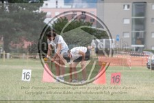 ref. photo 3704928