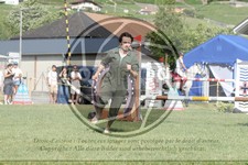 ref. photo 3705011