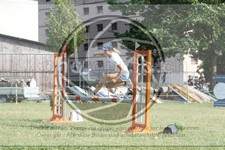 ref. photo 3705022