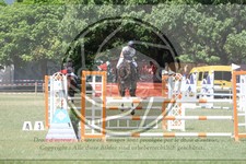 ref. photo 3705091