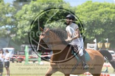 ref. photo 3705104