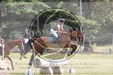 ref. photo 3705105