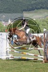 ref. photo 3705119