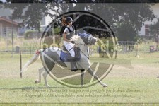 ref. photo 3705128