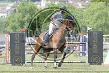ref. photo 3705159