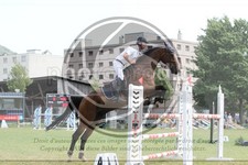 ref. photo 3705164