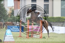 ref. photo 3705168