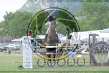 ref. photo 3705173