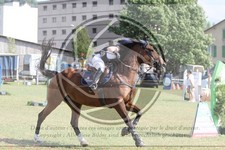 ref. photo 3705223