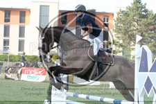 ref. photo 3705380