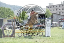 ref. photo 3705398