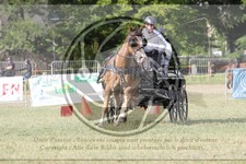 ref. photo 3705411