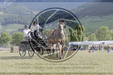 ref. photo 3705460