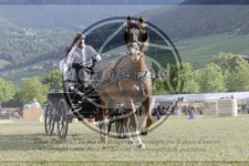 ref. photo 3705461