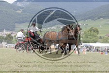 ref. photo 3705467