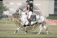 ref. photo 3705504
