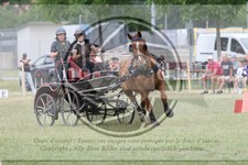 ref. photo 3705516