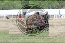 ref. photo 3705520