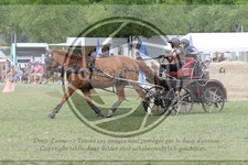 ref. photo 3705524