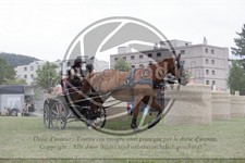 ref. photo 3705533