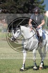 ref. photo 3705549